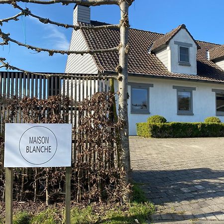 B&B Maison Blanche Gandawa Zewnętrze zdjęcie