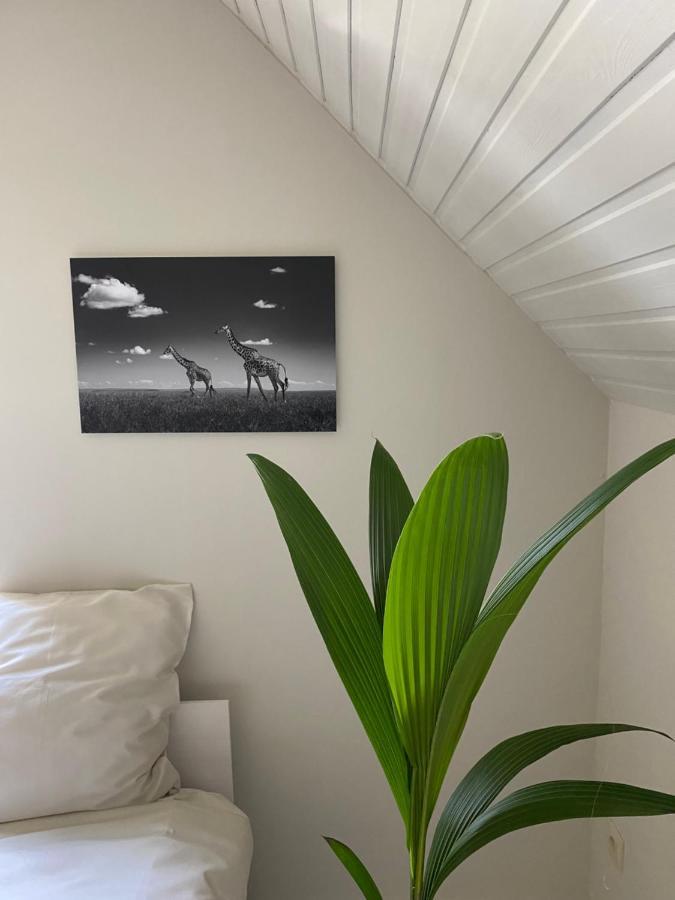 B&B Maison Blanche Gandawa Zewnętrze zdjęcie